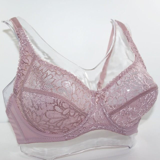 Lager Bosom Lace Perspective Bra