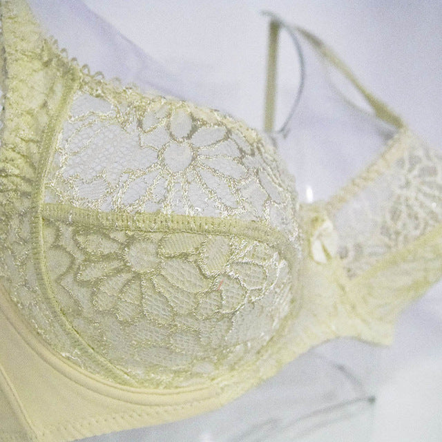 Lager Bosom Lace Perspective Bra