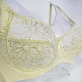 Lager Bosom Lace Bra