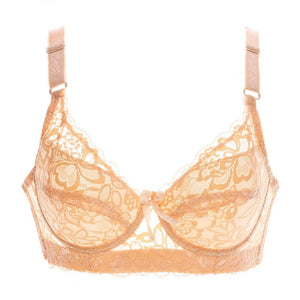 lace fly bra