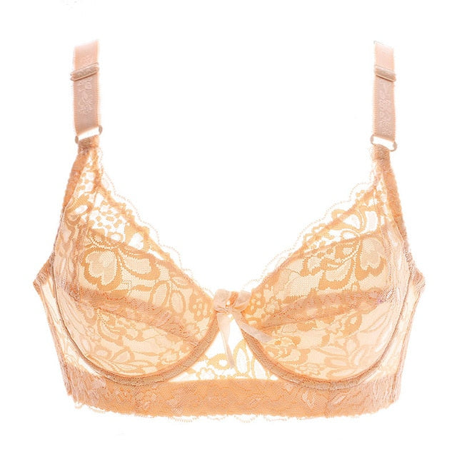 lace fly bra