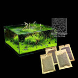 Waterweed Water Grass Seed Aquarium Plants Seeds