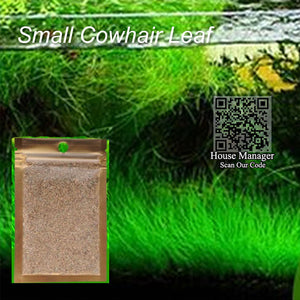 Waterweed Water Grass Seed Aquarium Plants Seeds